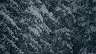 VJ Loops - Snow Falling Motion Graphics After Effect/Screensaver 4K/Wallpaper Engine/LED SCREEN
