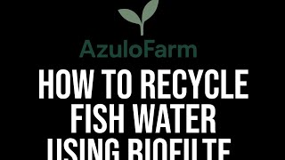 How to Recycle Fish Pond Water with Biofilter | #FishFarming  #Aquaculture  #Aquaponics #FishFarmer