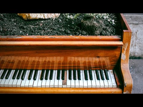 Piano Under The Rain | Relaxing Rain sounds & Piano Music | Positive Music