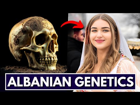 Where Do Albanians Really Come From? DNA Evidence Explained