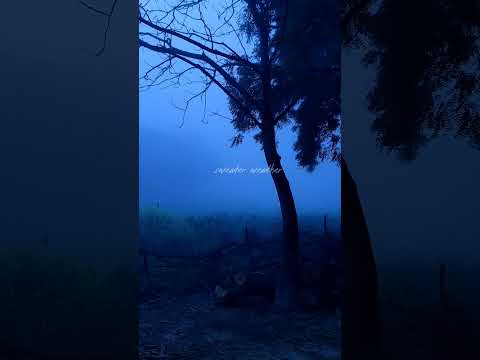 the_kodachrome....aaoge jab tum ooo sajnaaa