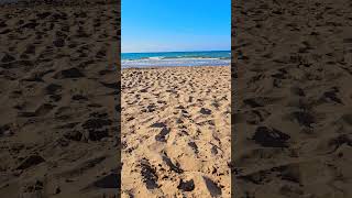 let's go to the beach ⛱️ 😎 😌 ✨️