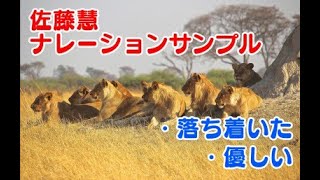 【ナレーション】動物ドキュメンタリー風【サンプル】