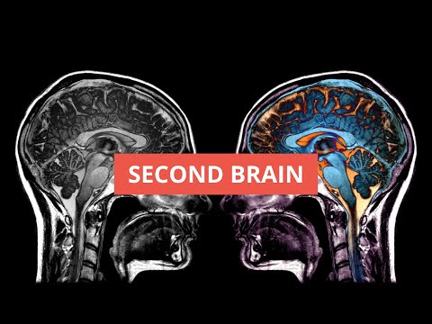 Why Your Brain Alone Isn't Enough Anymore | Free Notion Second Brain Template