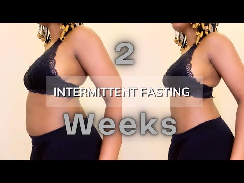 INTERMITTENT FASTING CHALLENGE 2 WEEKS| How To Lose Weight and Burn Fat With No Workout| Nemi Effy
