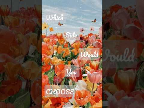 Which side would you choose ? 💐