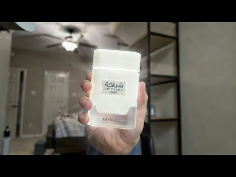 Shiyaaka Snow 2026 Review - The BEST Meteore Dupe?! (100% HONEST NO HYPE REVIEW)