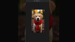 How to insert an image into a rectangle shape in Figma. #uiuxdesign #figmatutorialforbeginners