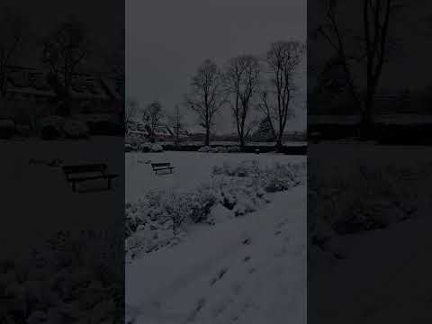 Snow#Narnia#❄️🌨🇬🇧#london #UK