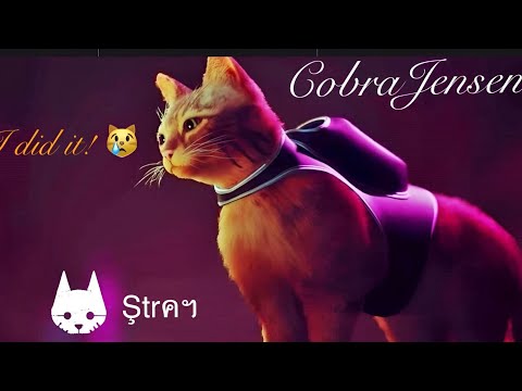 𝒮𝓉𝓇𝒶𝓎- 𝒶𝓁𝓁 𝒶𝓉𝓉𝑒𝓂𝓅𝓉𝓈 of “𝒞𝒶𝓉-𝒸𝒽 𝓂𝑒 𝒾𝒻 𝓎𝑜𝓊 𝒸𝒶𝓃”🐈