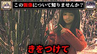 【邪悪な目的】あの画像の初出が判明しました。某フリマサイトの謎の出品について。【ゆっくり解説/ゆっくり実況/怖い話】