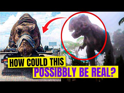 10 Amazing Dinosaur Sightings Captured in Real Life