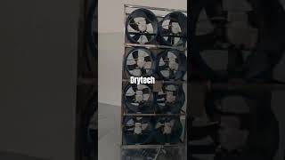 Drytech Heat pump dryer machine-DT600H projects feedback #dryingequipment #dryingmachine #fooddrying