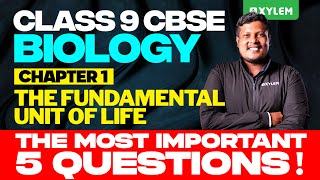 Class 9 CBSE Biology | Chapter 1 : The Fundamental Unit Of Life | Xylem Class 9 CBSE