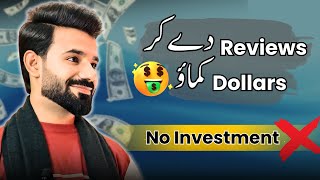 Give Reviews to Earn Money | how to earn money online | profit diaries