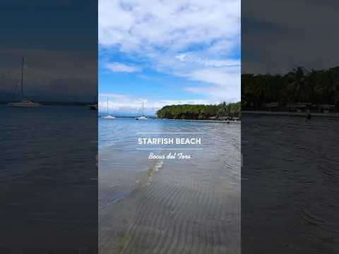 🤩 Starfish beach ✨ a.k.a Playa Estrella