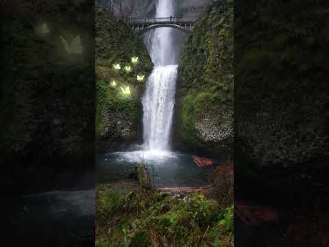 #shorts Jolie petite vidéo de cascade , idéal pour la relaxation. Musique relaxante , relaxing music