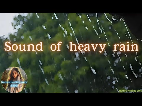 Daytime Rain: The Rhythms of Nature∣日中雨聲：大自然的滴答韻律#relaxing #NatureSounds#SleepAid#Meditation #rain