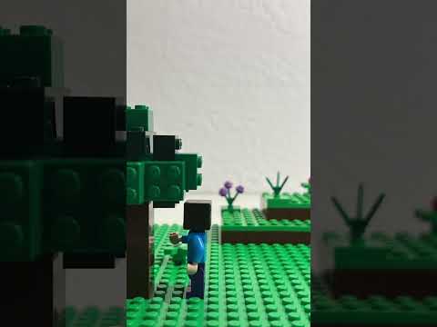 Minecraft Physics be like…
