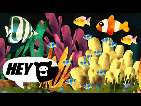 Hey Bear Sensory - Coral Reef Cam with Tropical Lullabies -Relaxing  Video with Music for Sleep