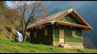 Skills That Build Dreams- Bamboo House and Farm Project #bamboo #viral #diy #survival