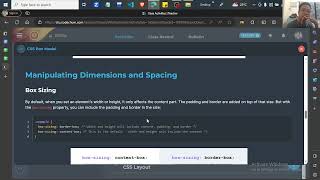 WEB   CSS Box Model