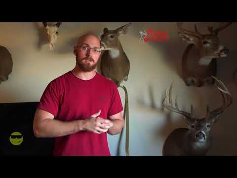 The truth about food plots 🌾