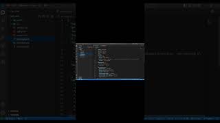 vite scripts in react app created with vite #reactjs #frontend #vitejs