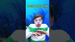 Fun Way To Learn About Animals! #kids #learning