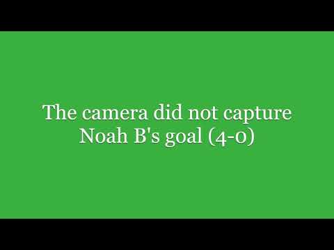 Stars vs Mavericks GOALS on April 6, 2024