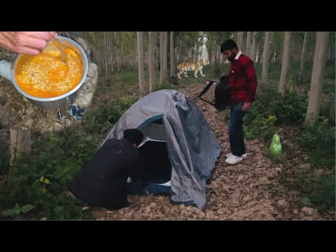 WINTER NIGHT CAMPING IN JUNGLE FOREST & COOKING || DenMas Hengki | Hike Camp Climb | hey gaga
