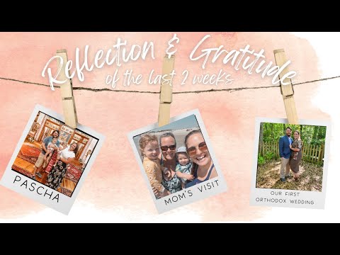 Reflection & Gratitude from the past 2 Weeks