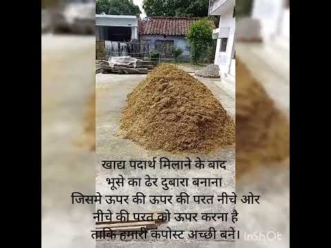 Long Method Mushroom 🍄 Compost 1st Turning @Mritunjay Rai