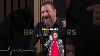 "The Secret Effect of Deep Sounds on Your Brain | Insights by Andrew Huberman"