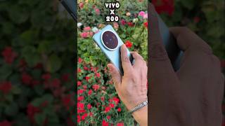 Vivo X200 Camera Test #vivo #vivox200 #vivox200series #trending #mobile #shorts