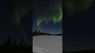 I saw the northern lights!!!!