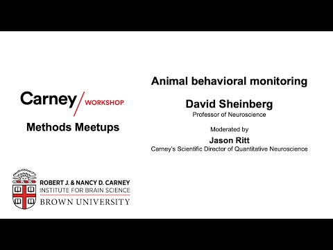 Animal Behavior Monitoring, with David Sheinberg (Methods Meetup 20200728)