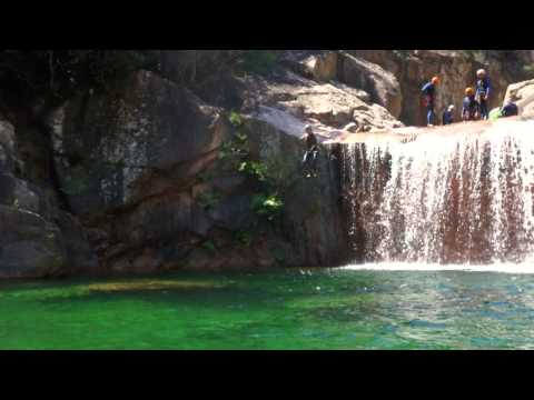 TORRENTE VACCA