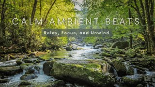 Calm Ambient Beats with Flowing Forest Streams | Relax, Focus & Unwind (Half Hour Nature Mix)
