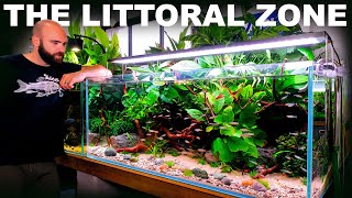 The Littoral Zone: EPIC Open Beach Community Aquarium (Aquascape Tutorial)