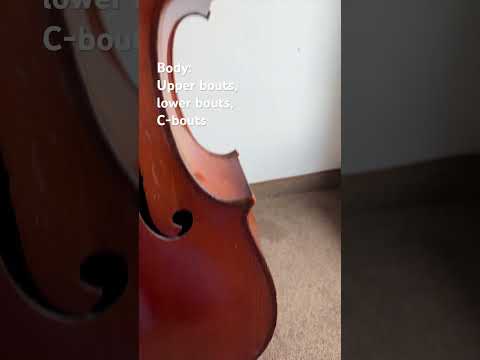 Now you know why this wooden box is so fancy #explained #cello #cellist #music #anatomy #musician