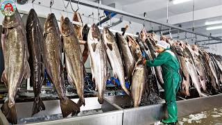 Fishermen Catch Millions Of COD FISH - Cod Fishing And Processing - Cod Processing Line in Factory 🐟