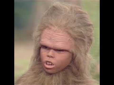 Impatient Ape Live Stream