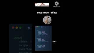 CSS Image Hover Effect  Image Overlay Hover Effect CSS #shorts #viralshorts #csshovereffect #tricks