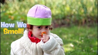 How We Smell! #kidssongs #forkids #educationalsongs #stemforkids #childrensmusic #science