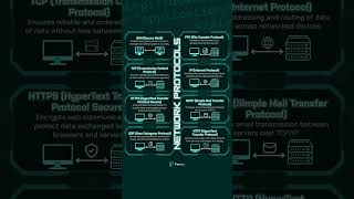 Network Protocols