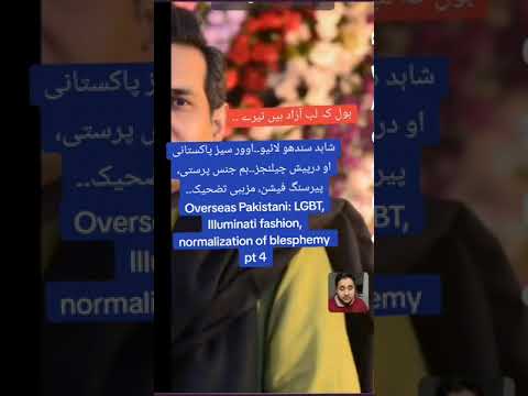 Overseas Pakistani facing challenges PT 4