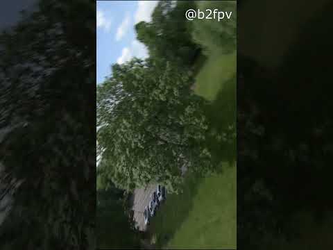 Speeding in local park #fpv  #drone  #speed  #freestyle  #park