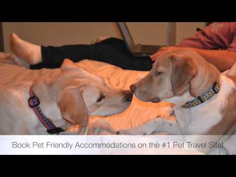 Pet Friendly Hotels Nashville, Tennessee