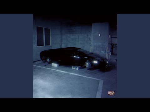 TEMPO SCHAKELEN (Instrumental Version)